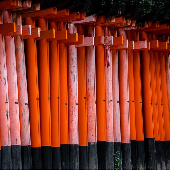 Tan stretchy shorts medium euc ona - Picture 4 of 8